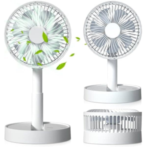 Compact Desktop Fan (F42D)