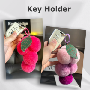 Car Key Holder